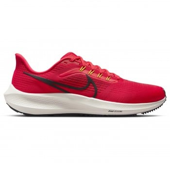 nike pegasus argento